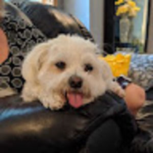 Meet your Posher, Cheryl